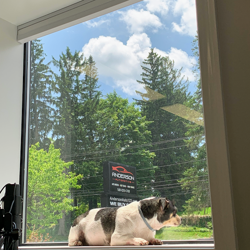 Used Car Dealer «Anderson Automotive», reviews and photos, 122 Worcester St, North Grafton, MA 01536, USA