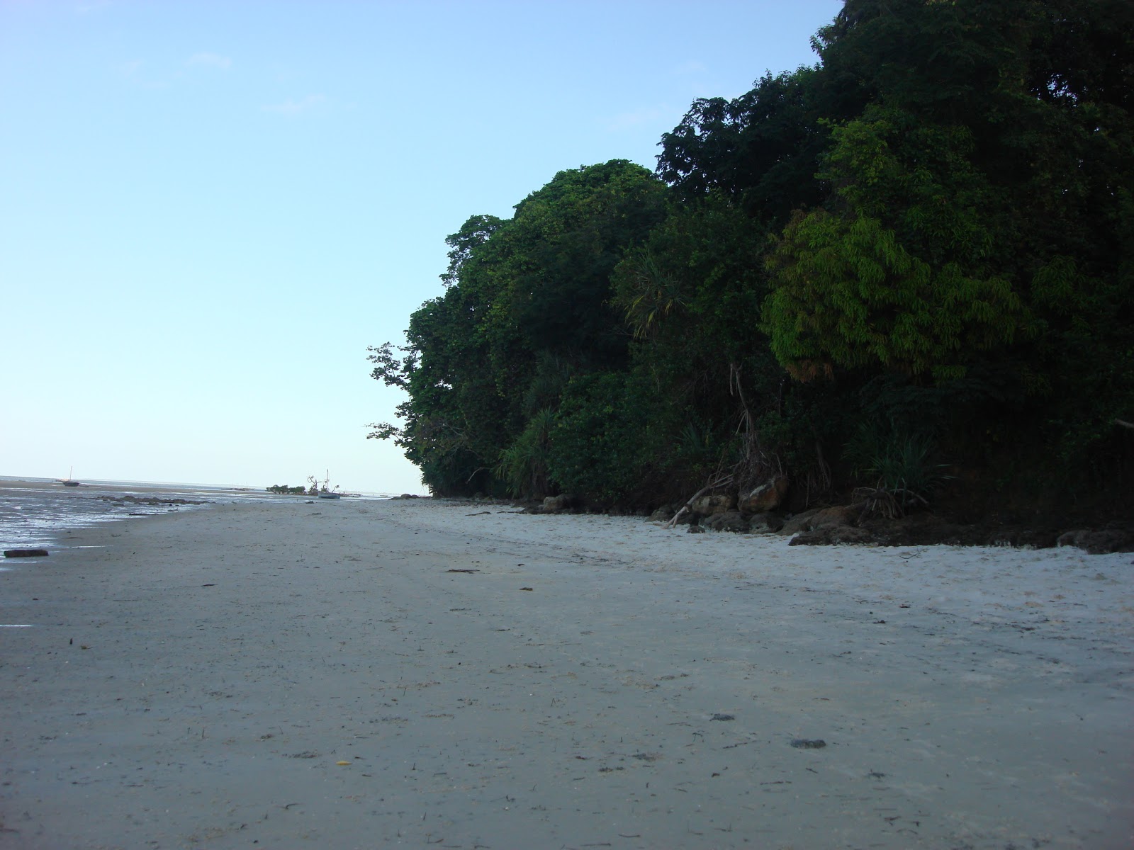 Zdjęcie Msuka Beach z powierzchnią jasny piasek