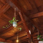 Photo n°1 de l'avis de Tiziana.e fait le 11/07/2022 à 06:08 sur le  Bufalè Caseificio Braceria Caserta à Caserta