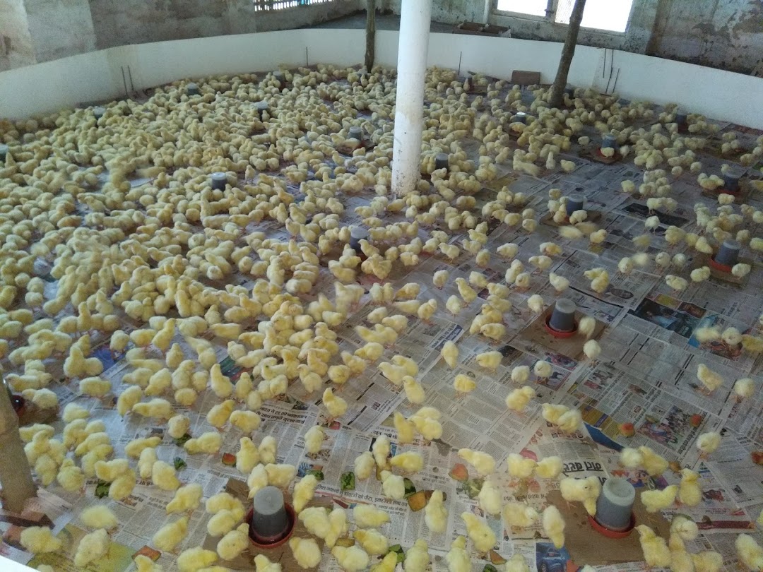 Passion poultry