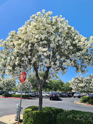 Mexican Restaurant «Chipotle Mexican Grill», reviews and photos, 4424 W Shaw Ave, Fresno, CA 93722, USA
