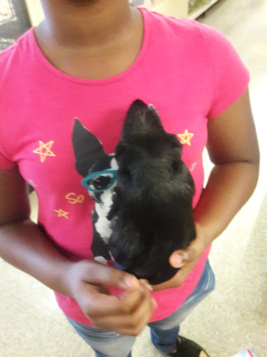 Pet Supply Store «PetSmart», reviews and photos, 3096 N Eastman Rd, Longview, TX 75605, USA