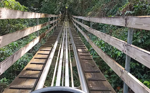 Jamaican Bobsled Rollercoaster image