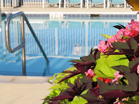 First Look Service LLC - Photo 9 - Car repair in Springfield, VA, Washington