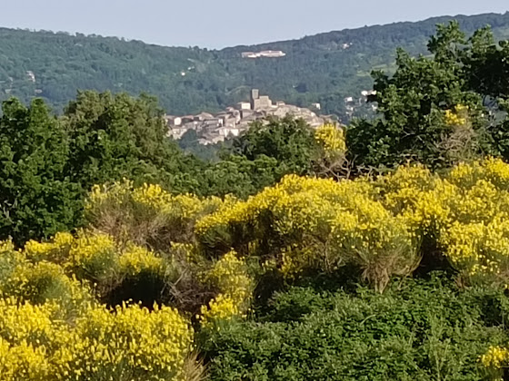 Photos des visiteurs Casa vacanza Mont 58031 Montelaterone