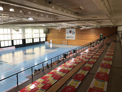 Chênois Genève Handball