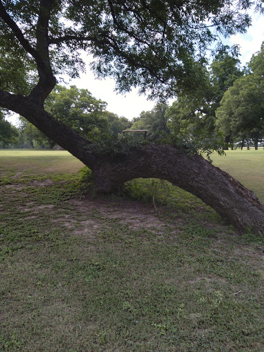Public Golf Course «San Saba Municipal Golf Course», reviews and photos, 723 County Road 102, San Saba, TX 76877, USA