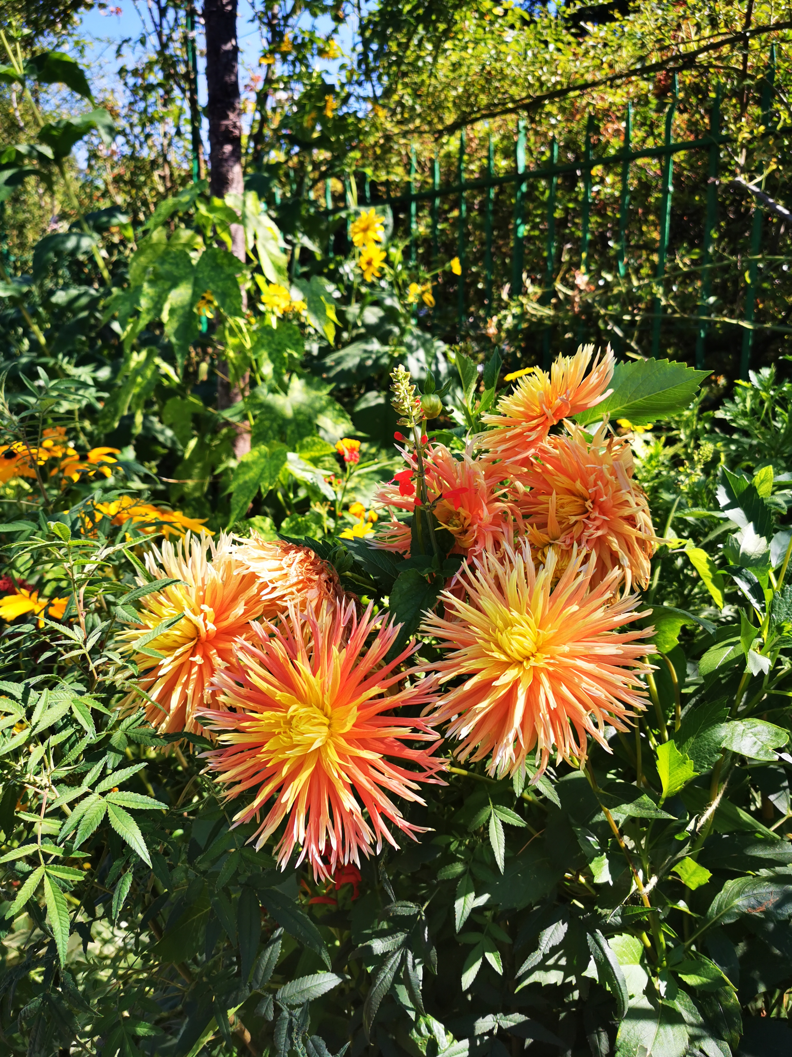 Photo n° 27 de l'avis de ASMA.A fait le 16/08/2022 à 18:29