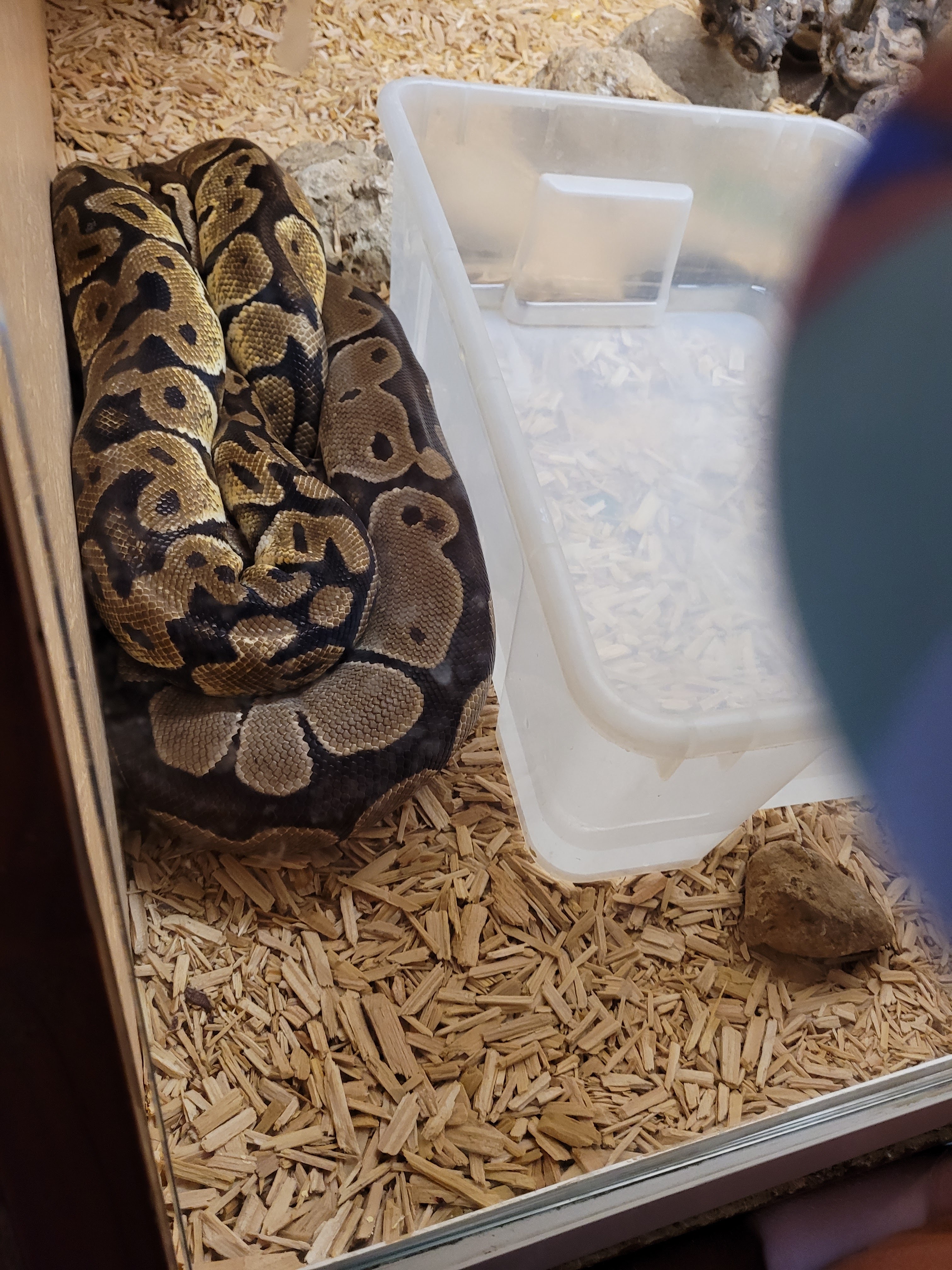 Photo n° 3 de l'avis de nathalie.a fait le 09/09/2023 à 21:49