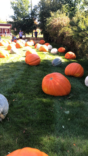 Gift Shop «Meijer Gardens Gift Shop», reviews and photos, 1000 E Beltline Ave NE, Grand Rapids, MI 49525, USA