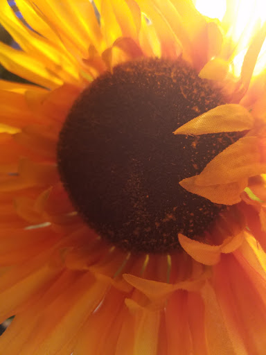 Museum «Manitou Cliff Dwellings», reviews and photos, 10 Cliff Rd, Manitou Springs, CO 80829, USA