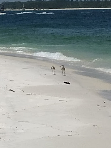 National Park «Fort Pickens», reviews and photos, 1400 Fort Pickens Rd, Pensacola Beach, FL 32561, USA