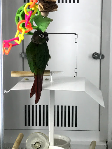 Pet Supply Store «Petco Animal Supplies», reviews and photos, 1820a W Uintah St, Colorado Springs, CO 80904, USA