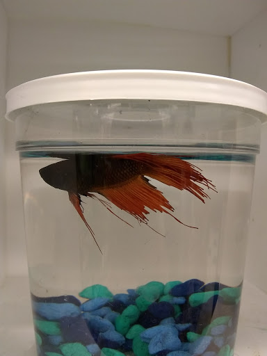 Pet Supply Store «Pet Supplies Plus», reviews and photos, 4751 Hiawatha Ave, Minneapolis, MN 55406, USA