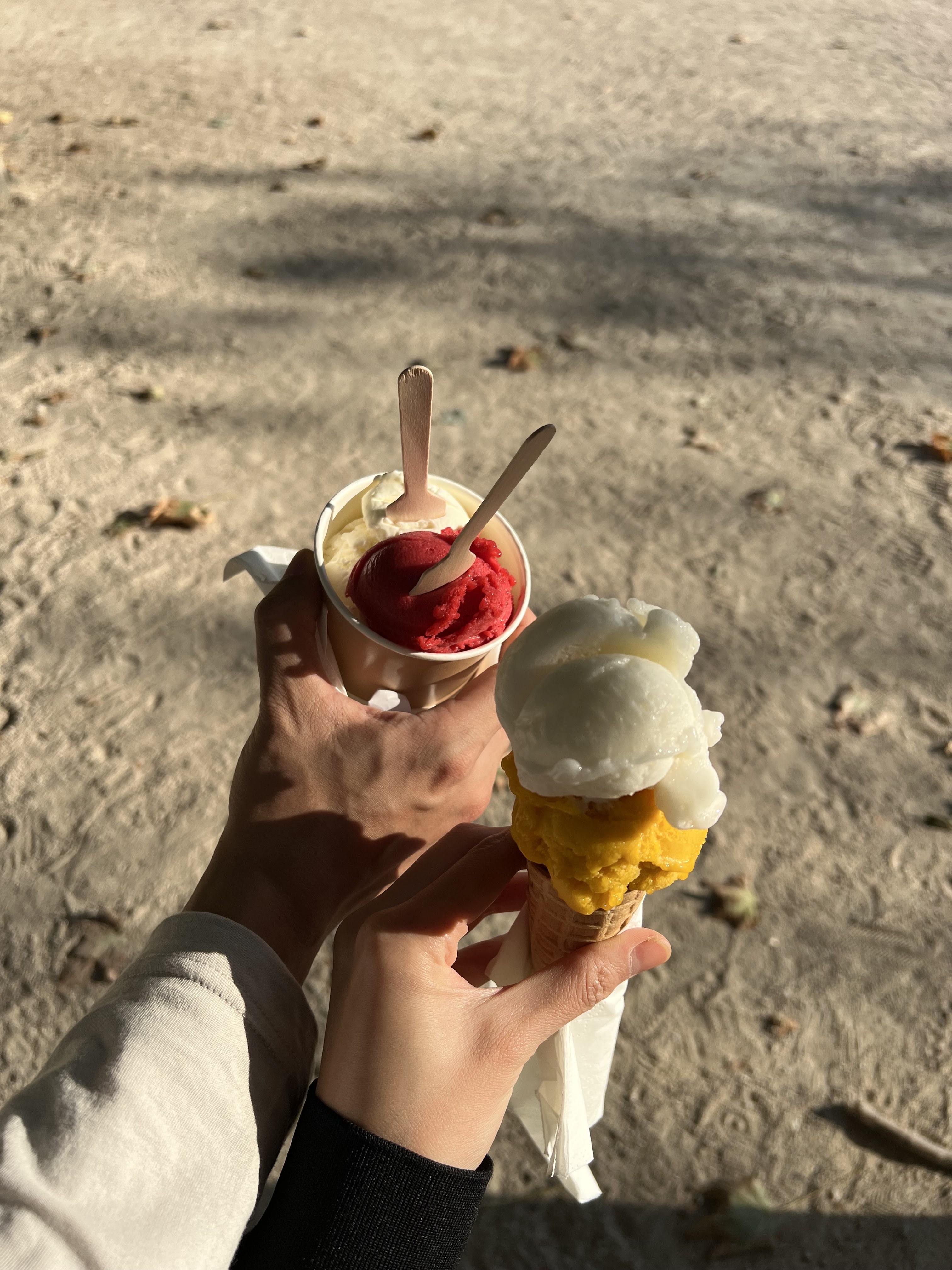 Photo n° 1 de l'avis de M. fait le 18/09/2022 à 16:01