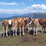 Photo n°5 de l'avis de Rolf.� fait le 16/07/2023 à 19:57 sur le  Sonus Alpis à Kastelruth