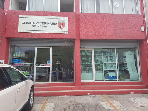 Clinica Veterinaria Dr Najar