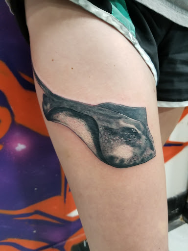 Tattoo Shop «Wildlife Tattoo», reviews and photos, 7149 Winnetka Ave, Winnetka, CA 91306, USA