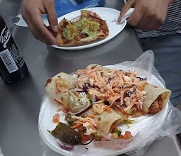 THE HAPPY FISH photo