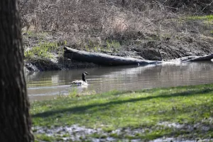 Kilbuck Bluffs Forest Preserve image