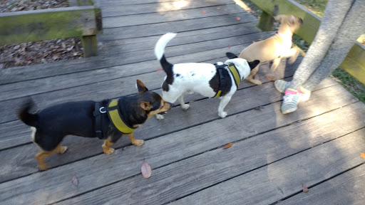 Dog Park «Zollie Young Dog Park», reviews and photos, 3829 E 43rd St, Panama City, FL 32404, USA