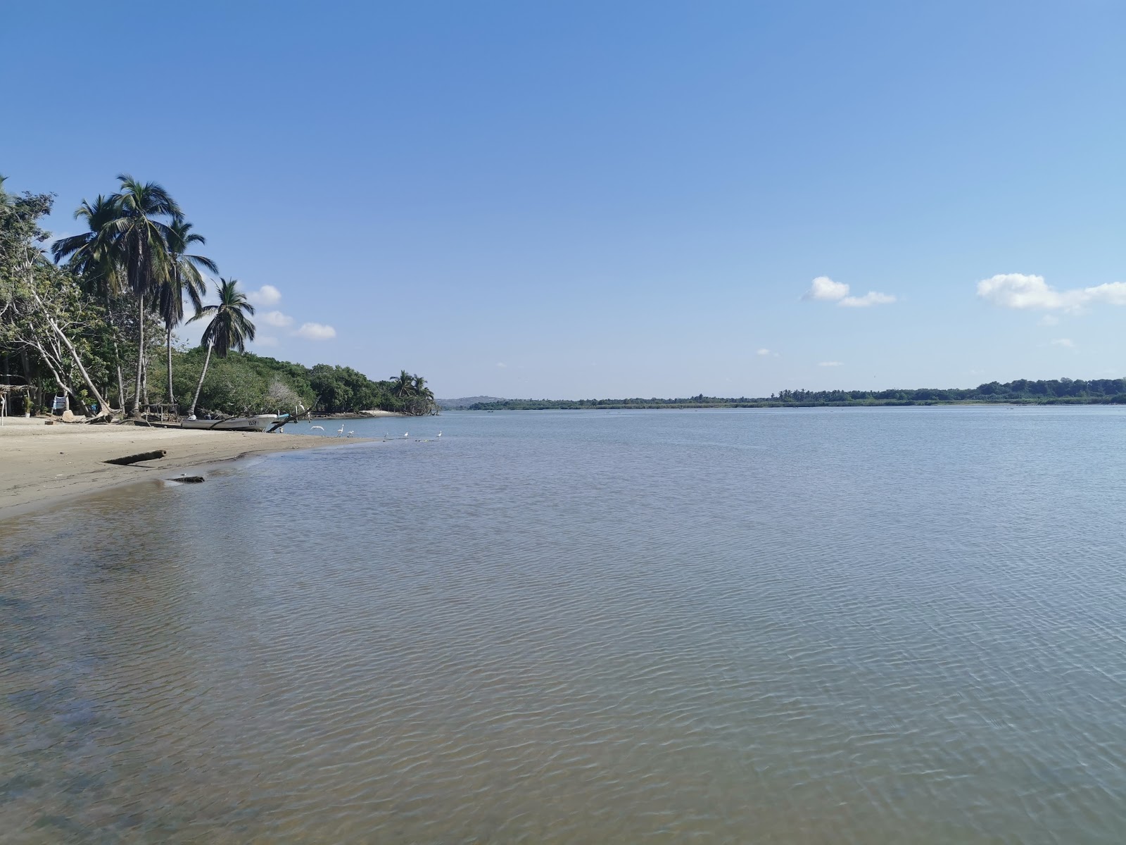 Foto af Playa Palapa og bosættelsen