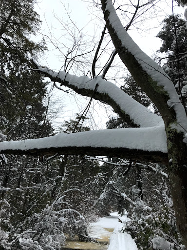 Ski Resort «High Point Cross Country Ski Center», reviews and photos, 1480 NJ-23, Sussex, NJ 07461, USA