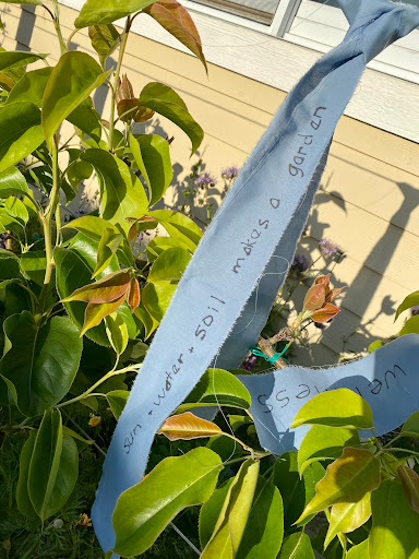 Non-Profit Organization «The Living Room Center», reviews and photos