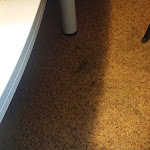 Photo n°1 de l'avis de Lisa.o fait le 11/11/2021 à 21:47 sur le  ibis Dortmund City à Dortmund