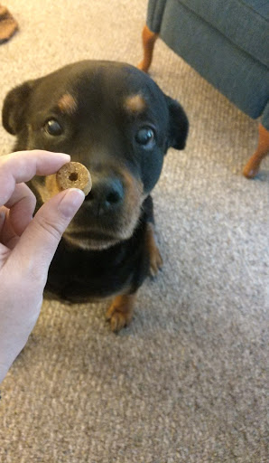 Pet Supply Store «Pet Food Warehouse, Ltd.», reviews and photos, 2455 Shelburne Rd, Shelburne, VT 05482, USA