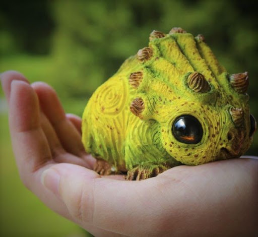 Pet Store «CUSTOM CREATURES PET SHOP», reviews and photos, 10727 N 19th Ave, Phoenix, AZ 85029, USA