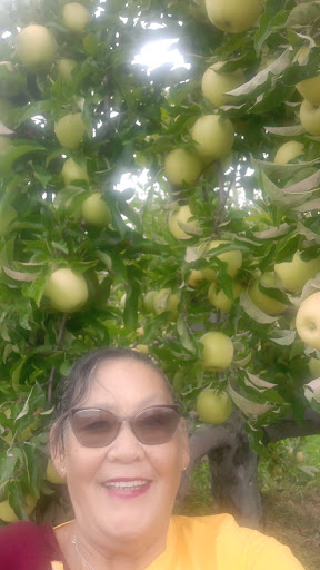 Orchard «Autumn Hills Orchard», reviews and photos, 495 Chicopee Row, Groton, MA 01450, USA