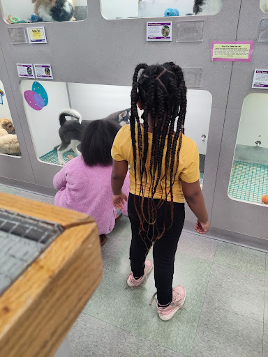 Pet Supply Store «PetSmart», reviews and photos, 2641 Lawndale Dr, Greensboro, NC 27408, USA