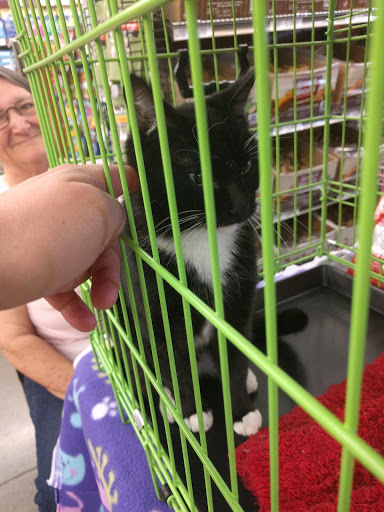 Pet Supply Store «Pet Food Express», reviews and photos, 1436 Old First St, Livermore, CA 94550, USA