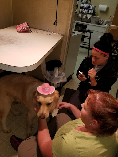 Maysville Animal Hospital image