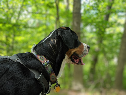 State Park «Breakheart Reservation», reviews and photos, 177 Forest St, Saugus, MA 01906, USA