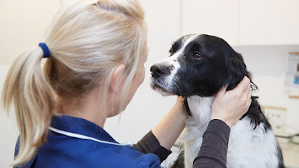 MiNightVet Middlesbrough en Middlesbrough