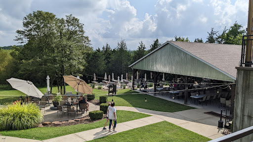 Winery «Wild Sun Winery», reviews and photos, 4830 Pioneer Rd, Hillsboro, MO 63050, USA