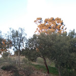 Photo n°10 de l'avis de Cecília.a fait le 27/01/2019 à 19:43 sur le  Cooperativa - Centro Cultural Montes Novos à Loulé