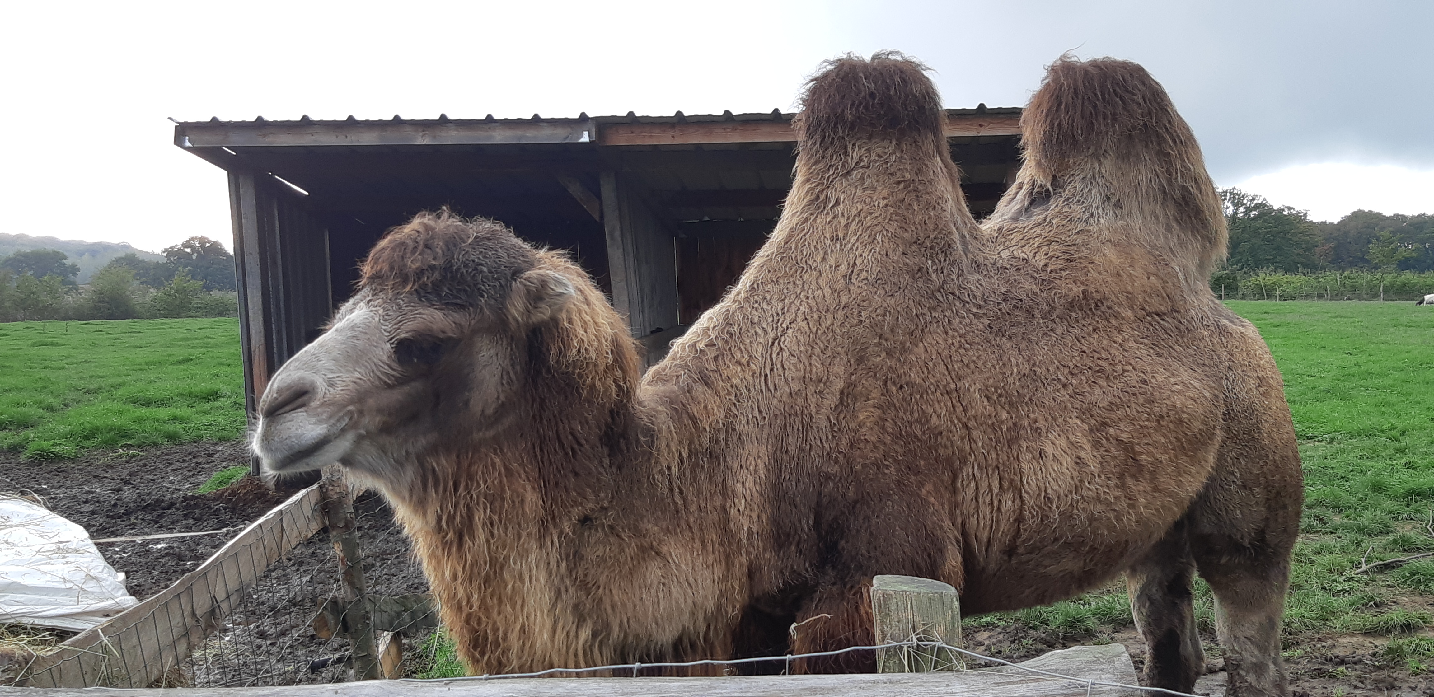 Photo n° 17 de l'avis de Yannick.a fait le 27/10/2019 à 14:17