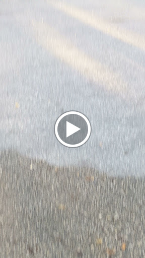 Donut Shop «Dandee Donuts Factory», reviews and photos, 102 N 28th Ave, Hollywood, FL 33020, USA