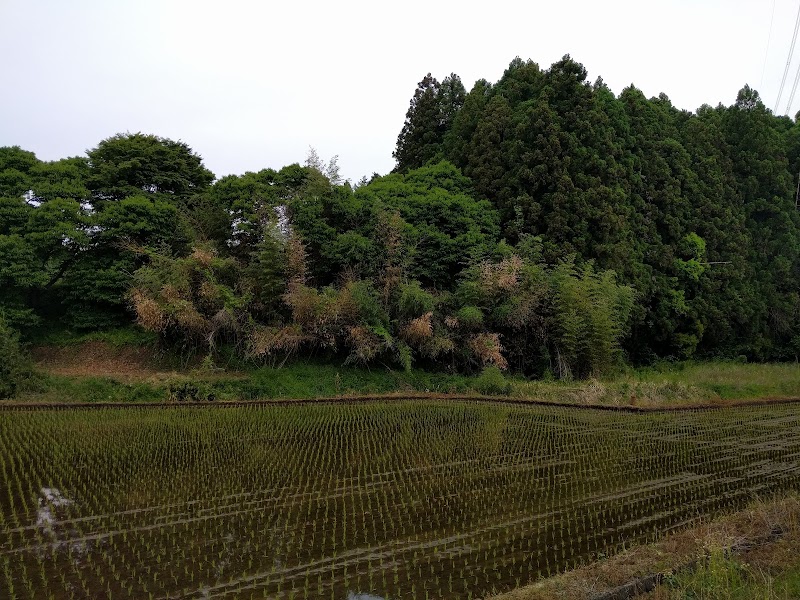 岡城跡