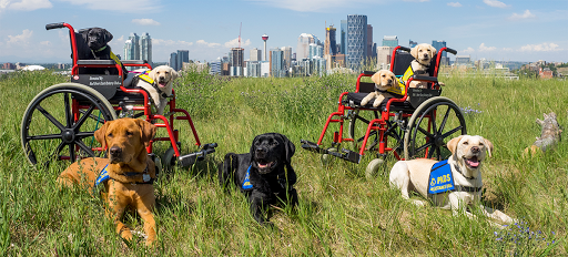 Pacific Assistance Dogs - Calgary Training Centre