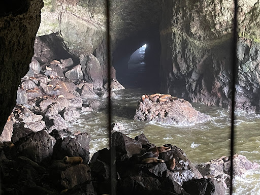 Tourist Attraction «Sea Lion Caves», reviews and photos, 91560 US-101, Florence, OR 97439, USA