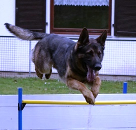 Dettinger Str. 99, 78467 Konstanz, Deutschland