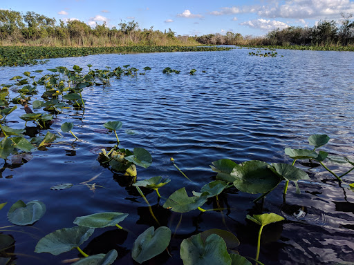 Park «Plantation Central Park», reviews and photos, 9151 NW 2nd St, Plantation, FL 33324, USA