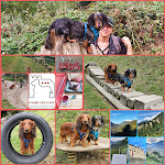 Photo n°1 de l'avis de Dutch.a fait le 12/10/2020 à 21:19 sur le  Hotel per Cani Mair am Ort à Tirol