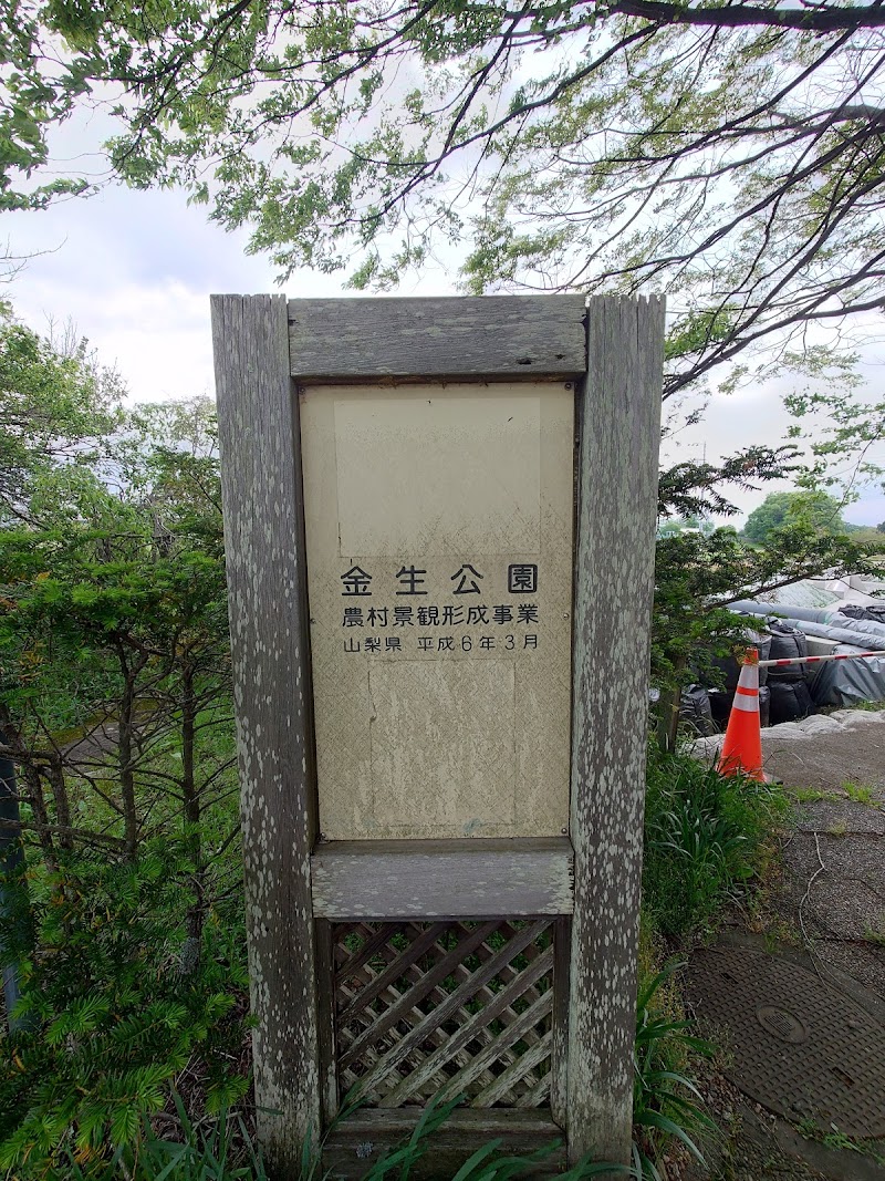 金生公園