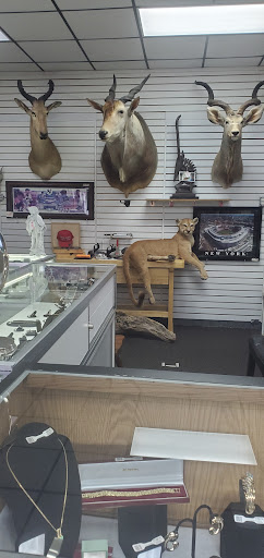 Pawn Shop «Classic Pawn & Gun», reviews and photos, 33 NW 10th St, Ocala, FL 34475, USA