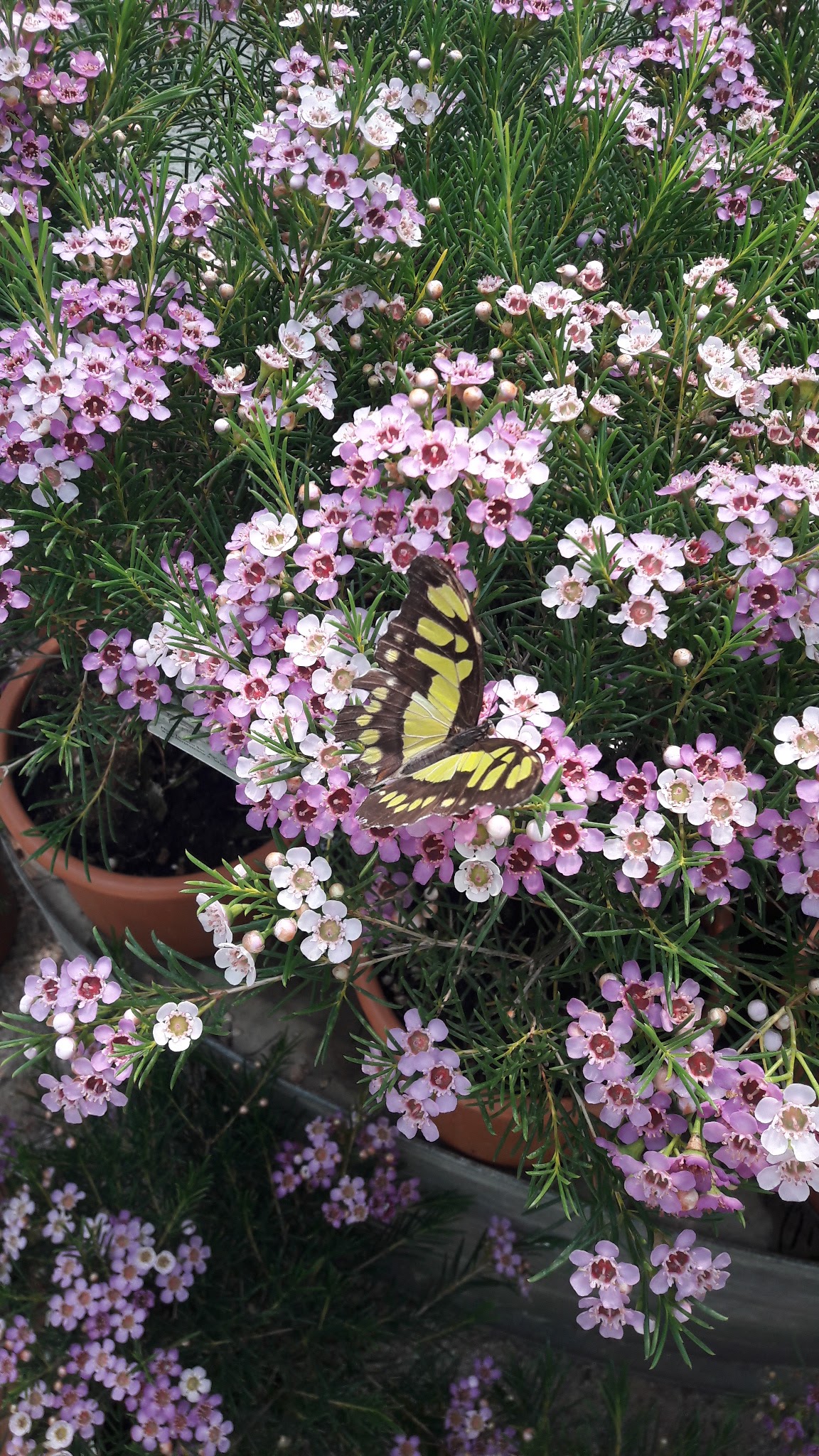 Photo n° 8 de l'avis de jessyca.a fait le 27/04/2018 à 12:12